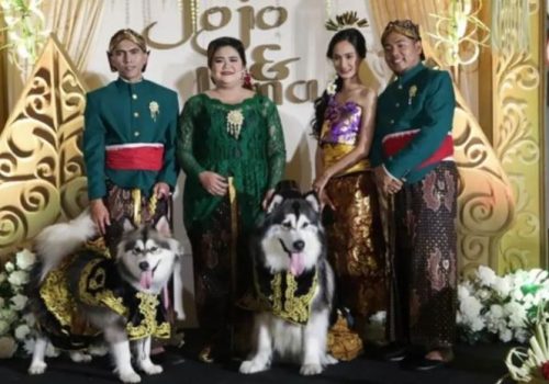 Jojo-dan-Luna-Menikah-3326501486