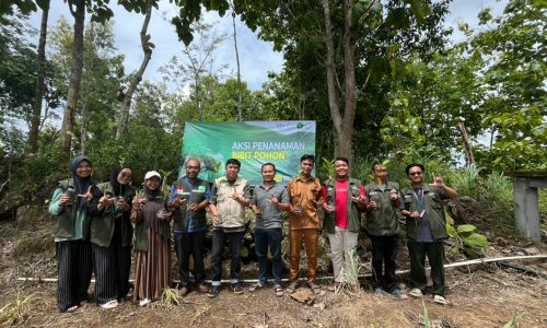 Penanaman Pohon